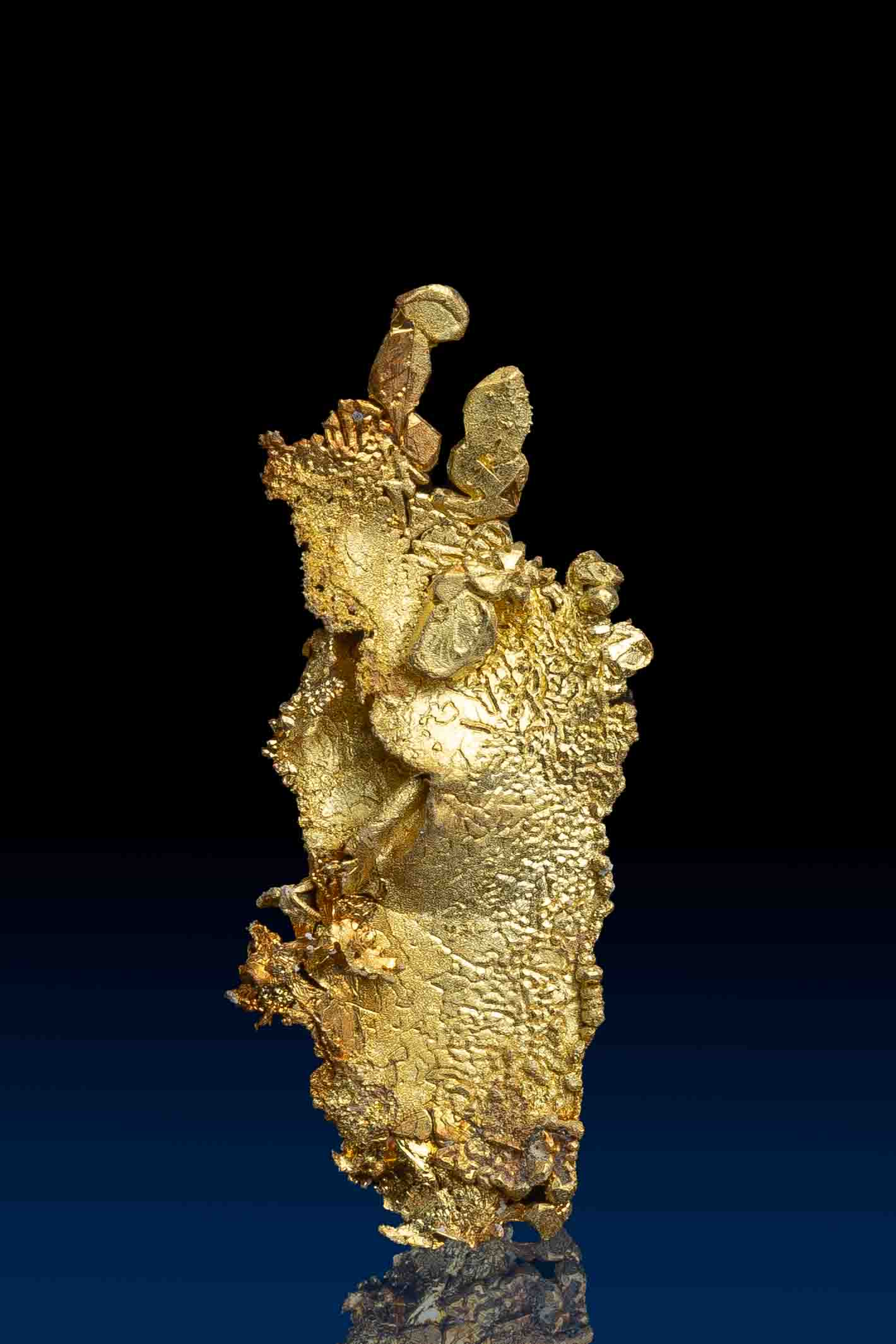 (image for) Remarkably Unique Crystallized Gold Specimen from Farncomb Hill, Colorado